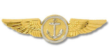 Aircrew wings